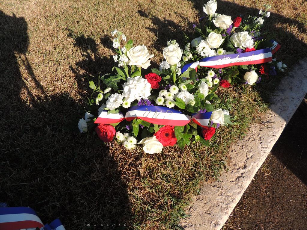 2023 09 25 TOULON  HOMMAGE AUX HARKIS FORCES SUPPLETIVES D ALGERIE (13).JPG -           
